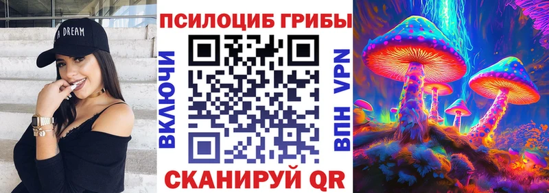 Псилоцибиновые грибы Psilocybine cubensis  Полысаево 